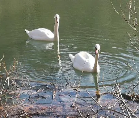 Silonce Am -ruhige Lage Im Gruenen, Parkplatz Und Garten Ideal Fuer Und Wanderfans