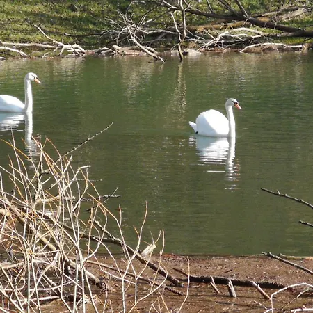 Silonce Am -ruhige Lage Im Gruenen, Parkplatz Und Garten Ideal Fuer Und Wanderfans Szálloda 4*