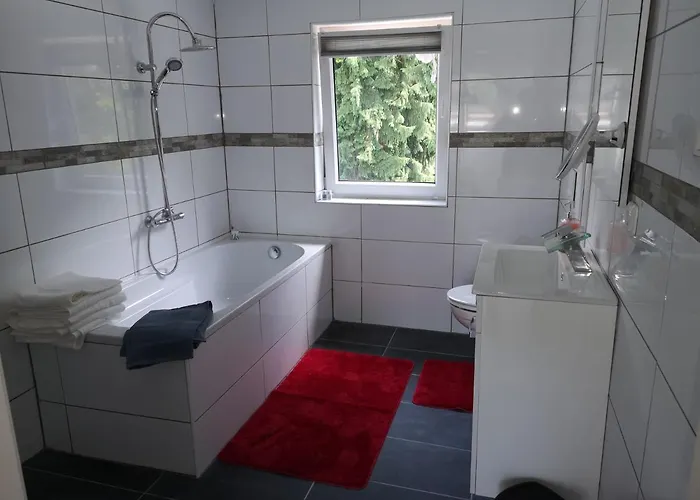 Hotel Hotel Silonce am See - Radevormwald 4*