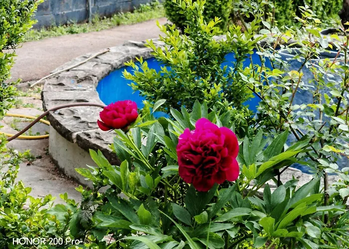 Silonce & Restaurant ホテル 4*